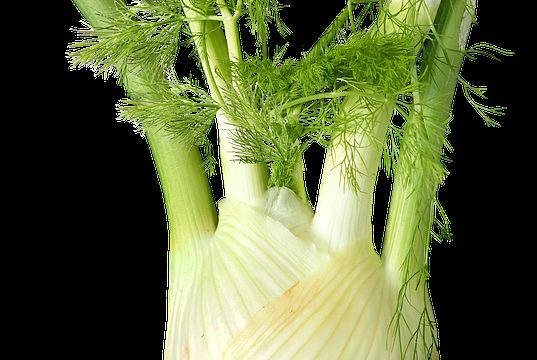 all natural solutions for easy weight loss