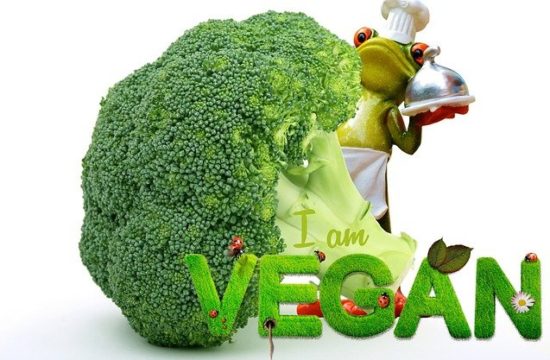 lose weight in an effective manner with these tips