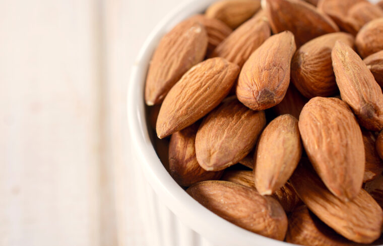 carnivore diet weight loss healthy meal plans