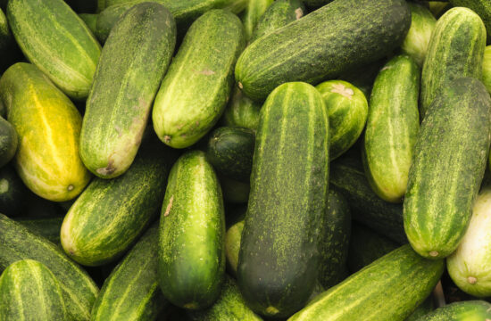 bunch of cucumber
