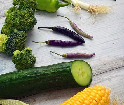 tips to help you lose weight and feel terrific
