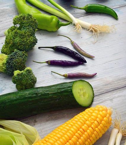 tips to help you lose weight and feel terrific