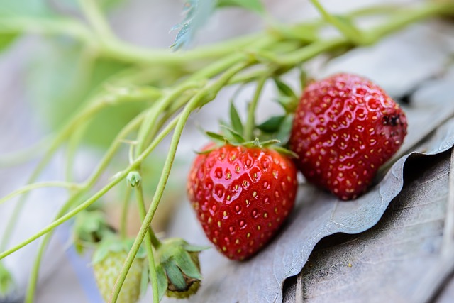 Follow These Few Steps To Lose Weight Fast 4 follow these few steps to lose weight fast
