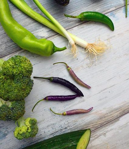 follow successful weight loss plan