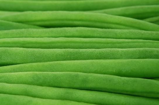 losing weight easily loss diet