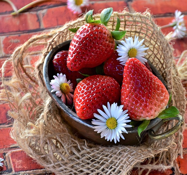 Top Tips To Lose Weight Quickly And Painlessly 4 top tips to lose weight quickly and painlessly