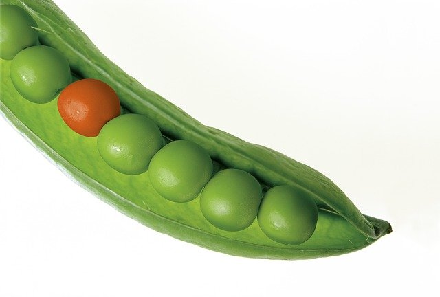 Losing Weight Can Be Simple As Can Be 4 losing weight can be simple as can be