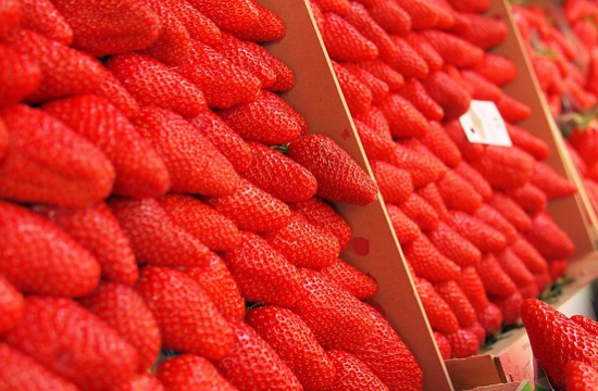 lose weight just minutes day healthy snacks