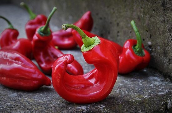 help lose weight feel terrific loss