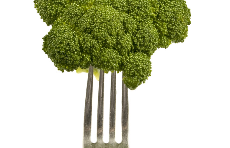 weight loss diet recipes