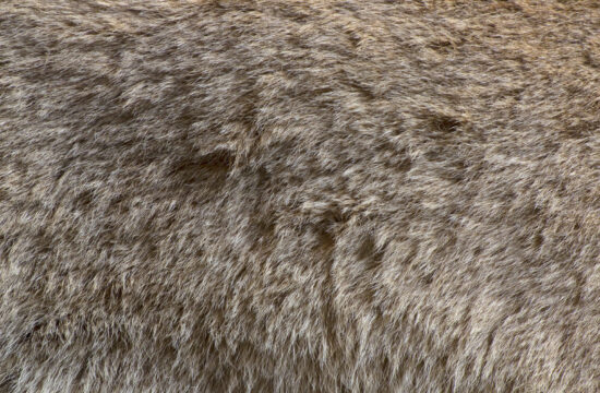 7 foods didn t were good dieting strategies